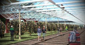 Il progetto F.I.CO doveva aprire a maggio 2015 in concomitanza con Expo.