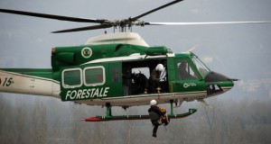 Un'operazione del Corpo Forestale