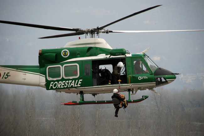 Un'operazione del Corpo Forestale