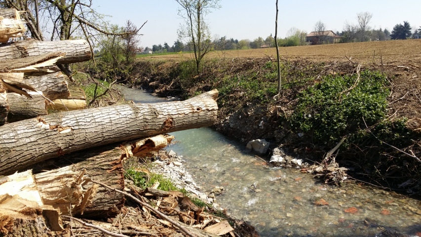 Il taglio degli alberi ha riguardato tutta la zona Pedemontana di Modena