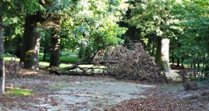 Lo stato di incuria in cui versa il Giardino storico della Reggia di Colorno a Parma