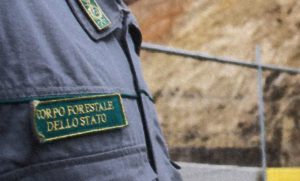 corpo-forestale-er
