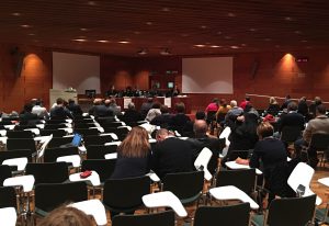 reddito-di-solidarieta-audizione