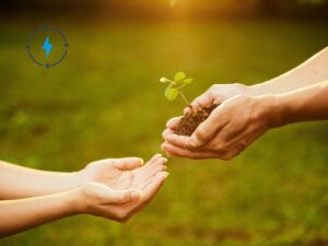 Una mano che passa a un'altra mano una piantina nel segno della Condivisione energetica