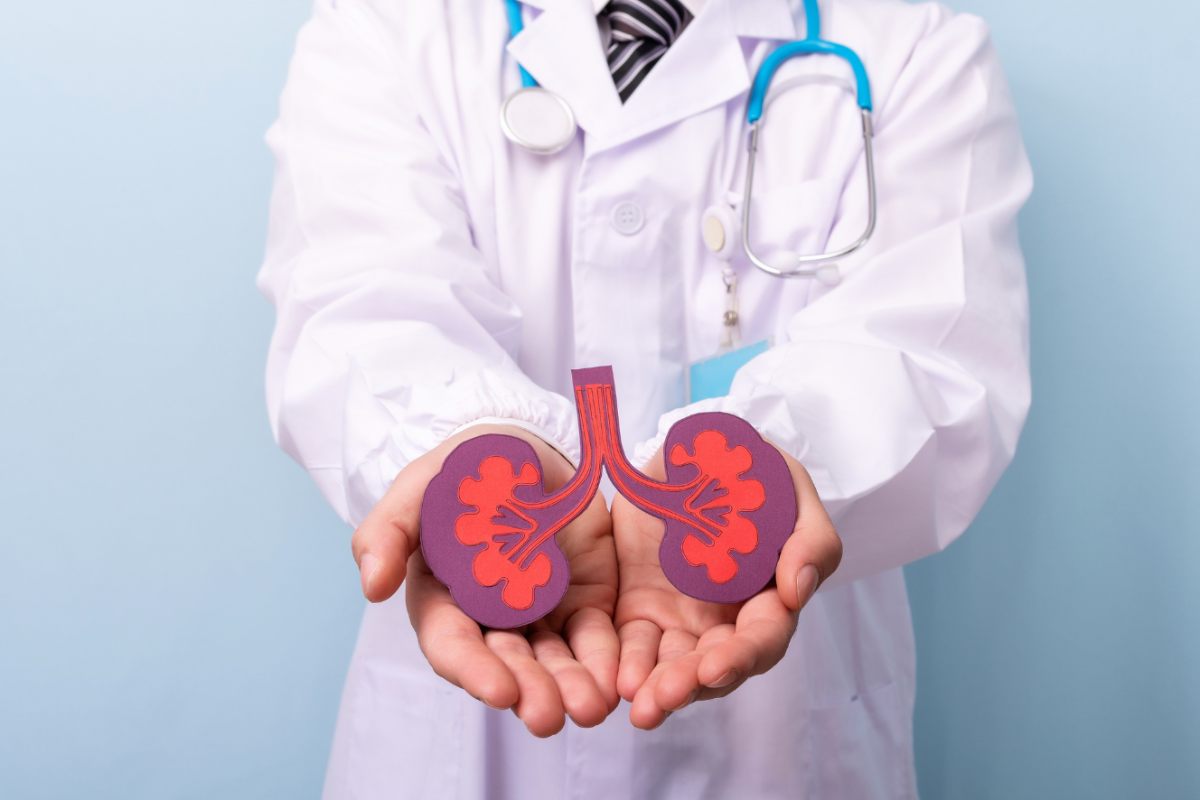medico con simbolo dei reni