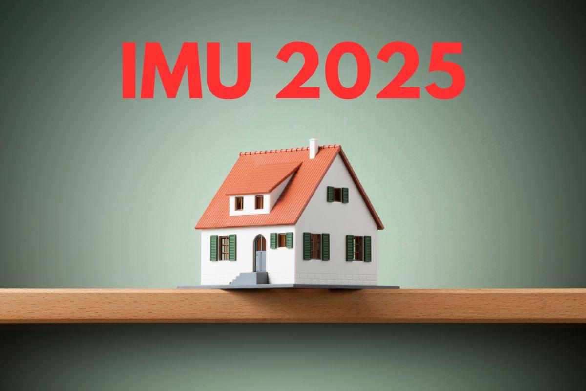 IMU 2025