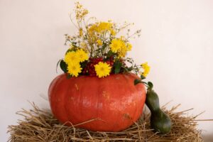 Zucca con all'interno dei fiori colorati