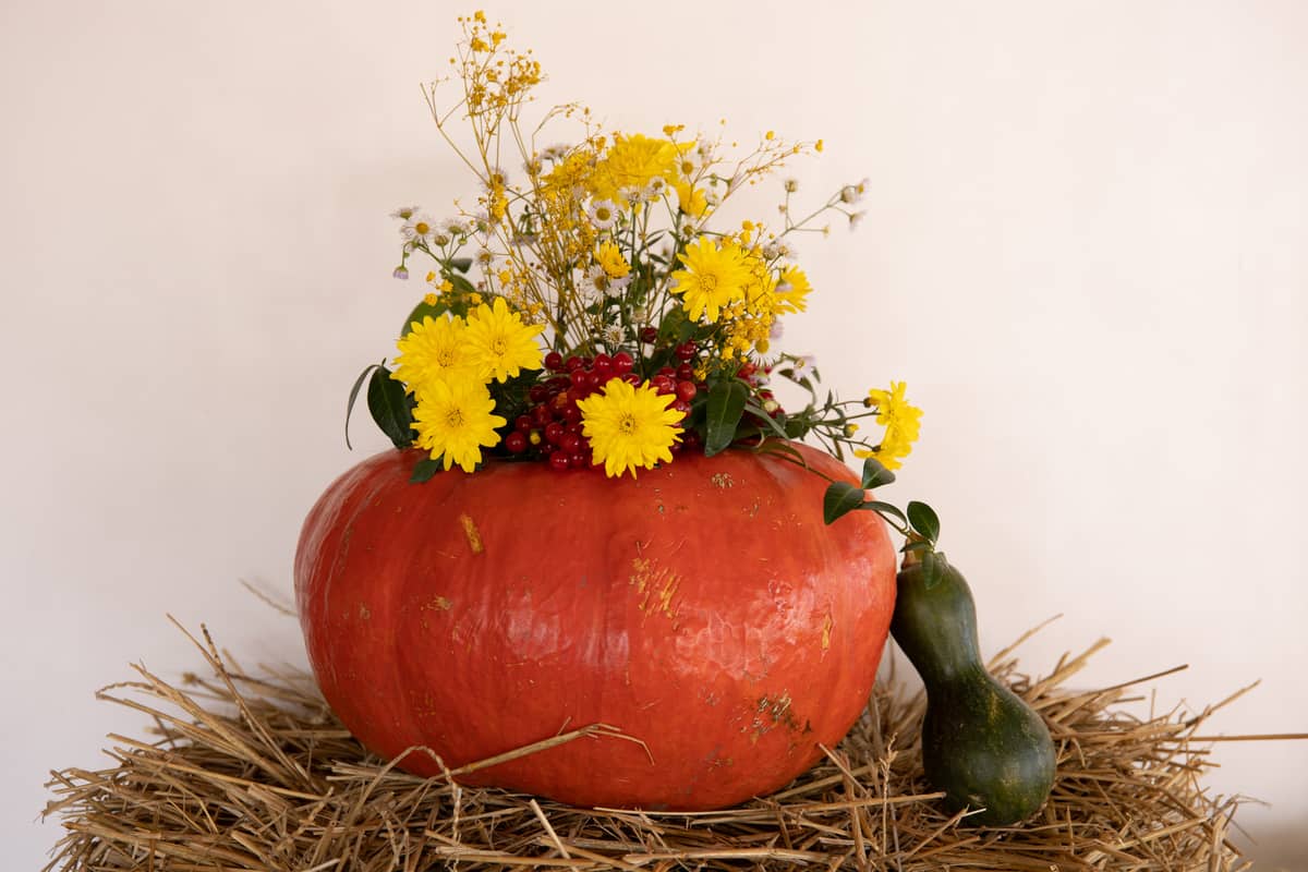 Zucca con all'interno dei fiori colorati