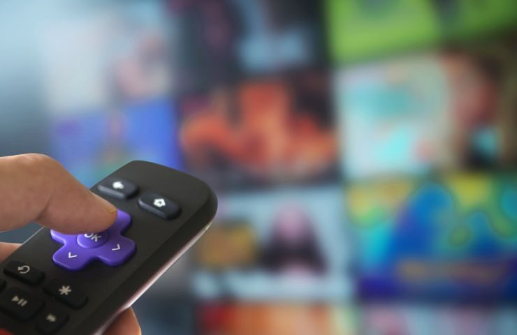 telecomando della televisione 